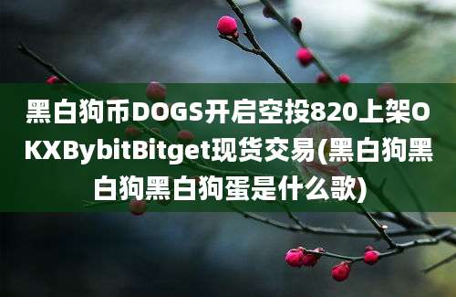 黑白狗币DOGS开启空投820上架OKXBybitBitget现货交易(黑白狗黑白狗黑白狗蛋是什么歌)