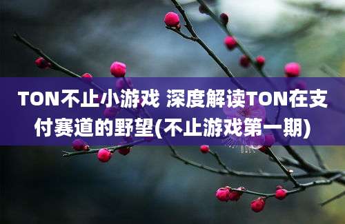 TON不止小游戏 深度解读TON在支付赛道的野望(不止游戏第一期)