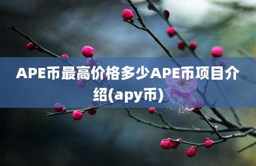 APE币最高价格多少APE币项目介绍(apy币)