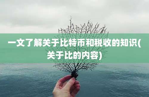 一文了解关于比特币和税收的知识(关于比的内容)