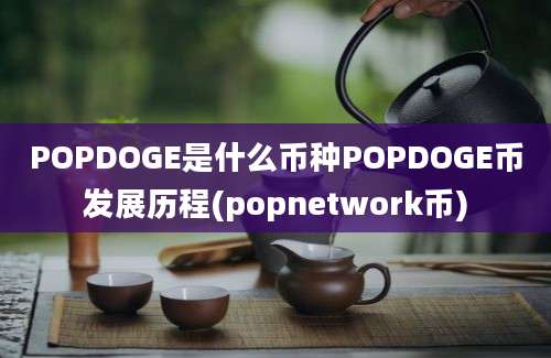 POPDOGE是什么币种POPDOGE币发展历程(popnetwork币)