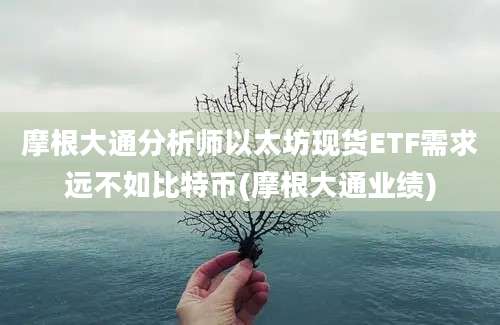 摩根大通分析师以太坊现货ETF需求远不如比特币(摩根大通业绩)