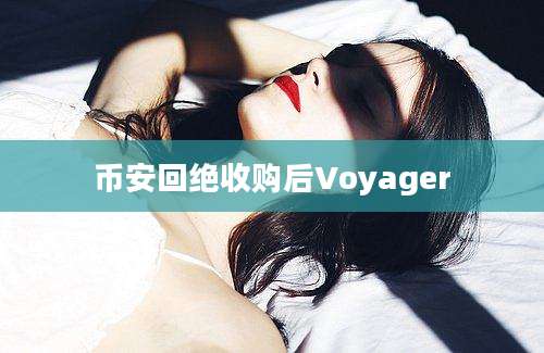 币安回绝收购后Voyager