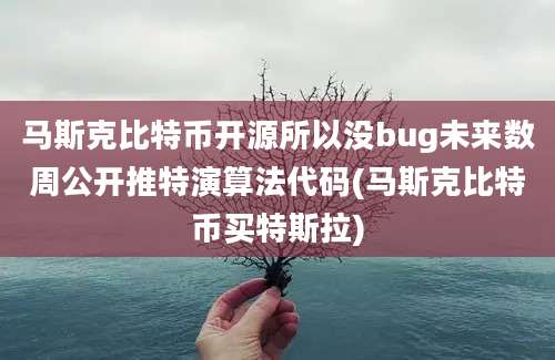 马斯克比特币开源所以没bug未来数周公开推特演算法代码(马斯克比特币买特斯拉)