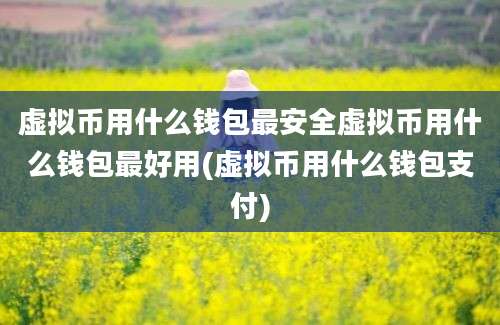 虚拟币用什么钱包最安全虚拟币用什么钱包最好用(虚拟币用什么钱包支付)