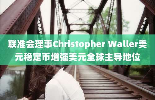 联准会理事Christopher Waller美元稳定币增强美元全球主导地位