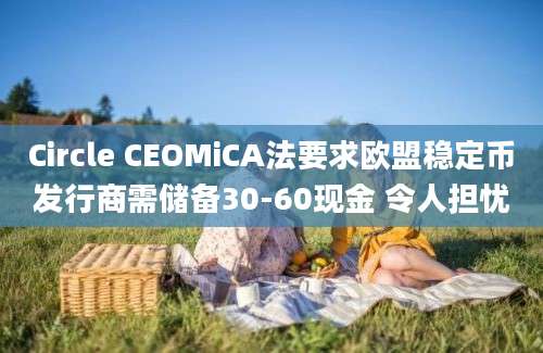 Circle CEOMiCA法要求欧盟稳定币发行商需储备30-60现金 令人担忧