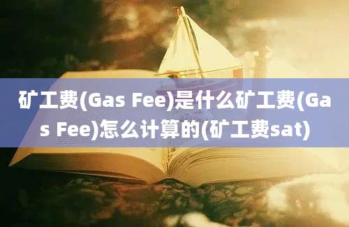 矿工费(Gas Fee)是什么矿工费(Gas Fee)怎么计算的(矿工费sat)