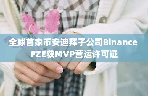 全球首家币安迪拜子公司Binance FZE获MVP营运许可证