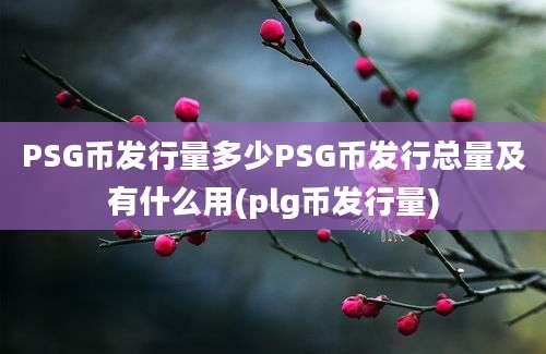 PSG币发行量多少PSG币发行总量及有什么用(plg币发行量)