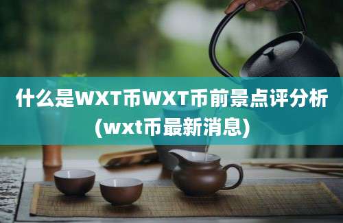 什么是WXT币WXT币前景点评分析(wxt币最新消息)