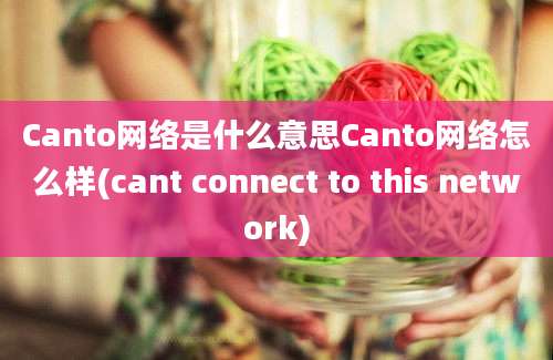 Canto网络是什么意思Canto网络怎么样(cant connect to this network)