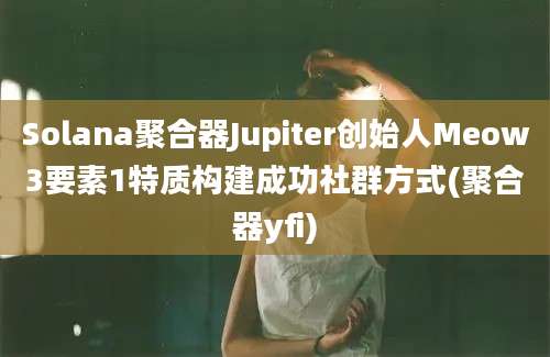 Solana聚合器Jupiter创始人Meow3要素1特质构建成功社群方式(聚合器yfi)