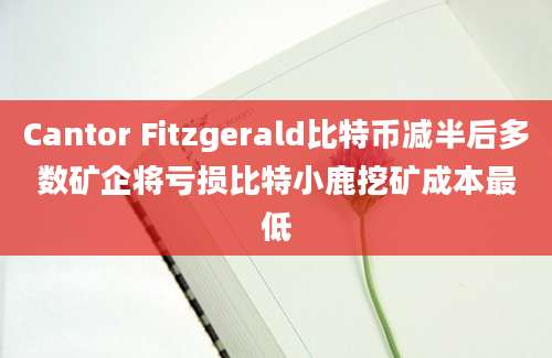 Cantor Fitzgerald比特币减半后多数矿企将亏损比特小鹿挖矿成本最低