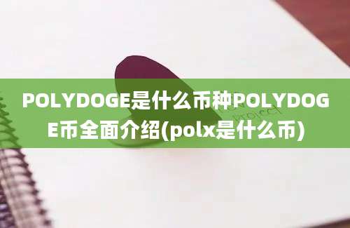 POLYDOGE是什么币种POLYDOGE币全面介绍(polx是什么币)