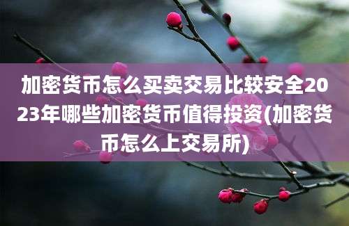 加密货币怎么买卖交易比较安全2023年哪些加密货币值得投资(加密货币怎么上交易所)