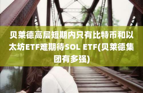 贝莱德高层短期内只有比特币和以太坊ETF难期待SOL ETF(贝莱德集团有多强)