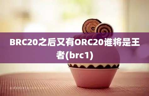 BRC20之后又有ORC20谁将是王者(brc1)