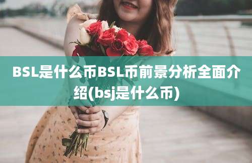 BSL是什么币BSL币前景分析全面介绍(bsj是什么币)