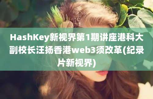 HashKey新视界第1期讲座港科大副校长汪扬香港web3须改革(纪录片新视界)