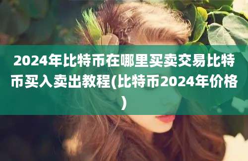 2024年比特币在哪里买卖交易比特币买入卖出教程(比特币2024年价格)