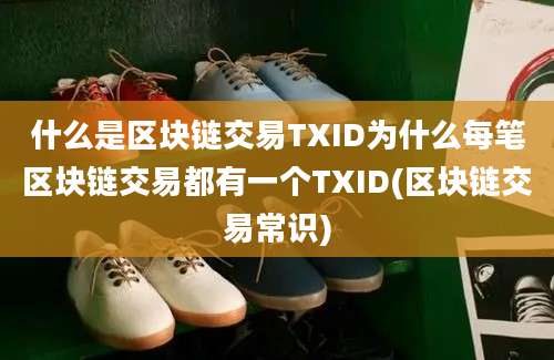 什么是区块链交易TXID为什么每笔区块链交易都有一个TXID(区块链交易常识)