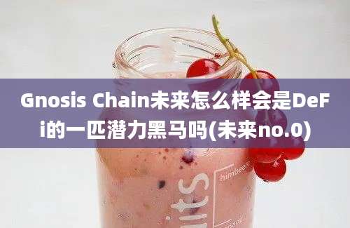 Gnosis Chain未来怎么样会是DeFi的一匹潜力黑马吗(未来no.0)