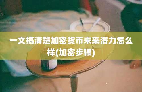 一文搞清楚加密货币未来潜力怎么样(加密步骤)