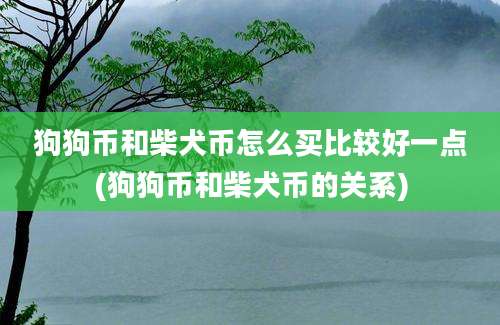 狗狗币和柴犬币怎么买比较好一点(狗狗币和柴犬币的关系)