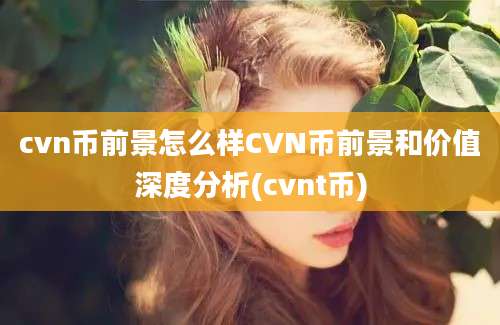 cvn币前景怎么样CVN币前景和价值深度分析(cvnt币)