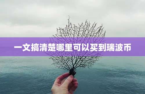 一文搞清楚哪里可以买到瑞波币