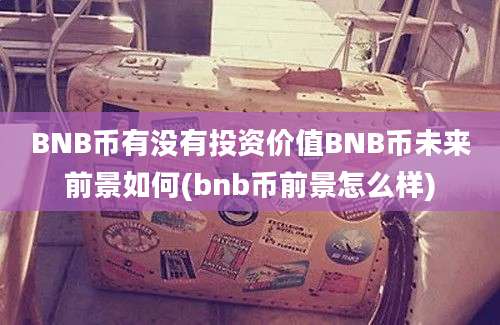 BNB币有没有投资价值BNB币未来前景如何(bnb币前景怎么样)