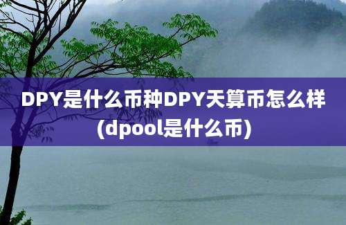 DPY是什么币种DPY天算币怎么样(dpool是什么币)