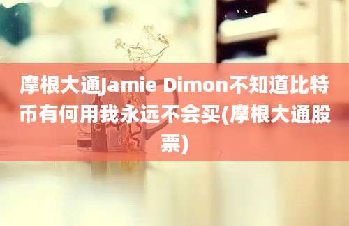 摩根大通Jamie Dimon不知道比特币有何用我永远不会买(摩根大通股票)