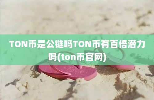 TON币是公链吗TON币有百倍潜力吗(ton币官网)