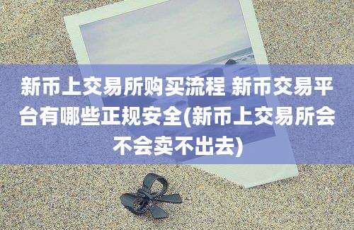 新币上交易所购买流程 新币交易平台有哪些正规安全(新币上交易所会不会卖不出去)