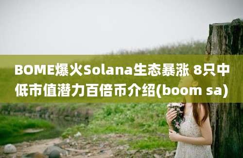 BOME爆火Solana生态暴涨 8只中低市值潜力百倍币介绍(boom sa)