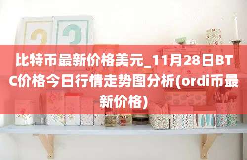 比特币最新价格美元_11月28日BTC价格今日行情走势图分析(ordi币最新价格)