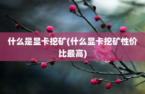 什么是显卡挖矿(什么显卡挖矿性价比最高)