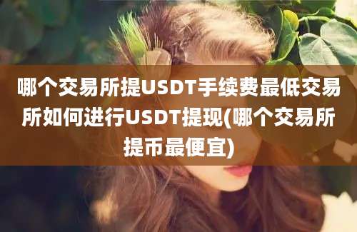 哪个交易所提USDT手续费最低交易所如何进行USDT提现(哪个交易所提币最便宜)