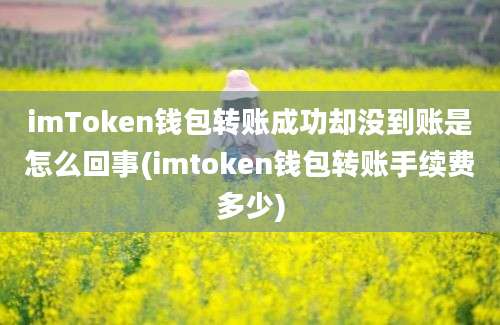 imToken钱包转账成功却没到账是怎么回事(imtoken钱包转账手续费多少)