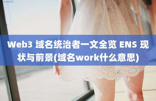 Web3 域名统治者一文全览 ENS 现状与前景(域名work什么意思)