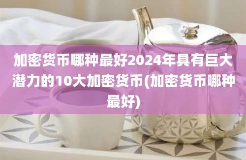 加密货币哪种最好2024年具有巨大潜力的10大加密货币(加密货币哪种最好)