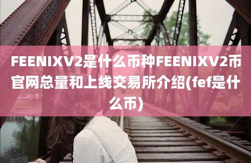 FEENIXV2是什么币种FEENIXV2币官网总量和上线交易所介绍(fef是什么币)