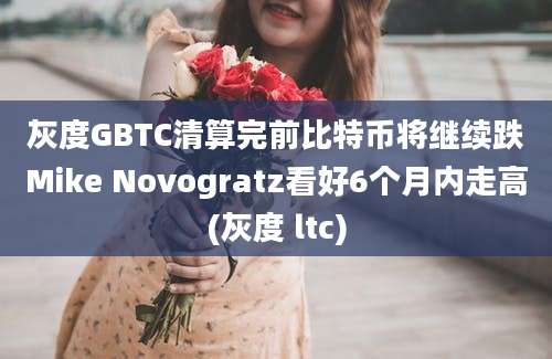 灰度GBTC清算完前比特币将继续跌Mike Novogratz看好6个月内走高(灰度 ltc)