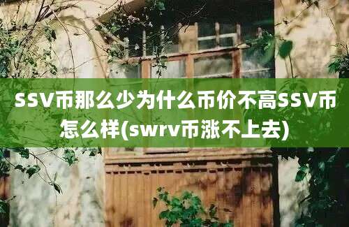 SSV币那么少为什么币价不高SSV币怎么样(swrv币涨不上去)