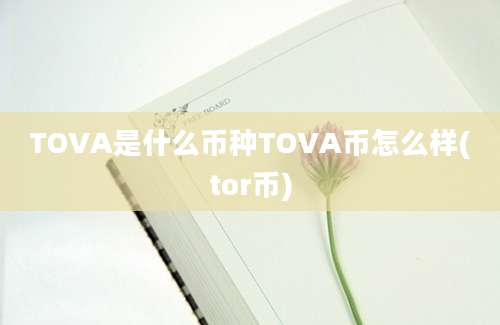 TOVA是什么币种TOVA币怎么样(tor币)