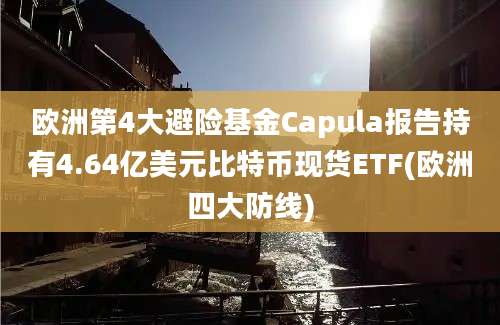 欧洲第4大避险基金Capula报告持有4.64亿美元比特币现货ETF(欧洲四大防线)