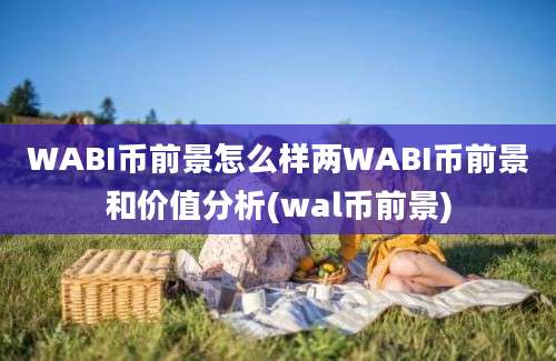 WABI币前景怎么样两WABI币前景和价值分析(wal币前景)