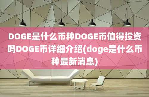 DOGE是什么币种DOGE币值得投资吗DOGE币详细介绍(doge是什么币种最新消息)